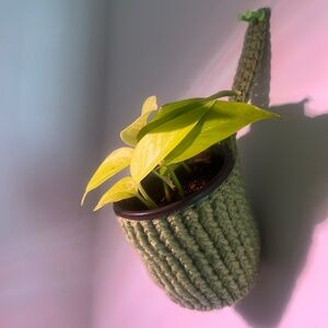 Plant hanger (plant cozy)